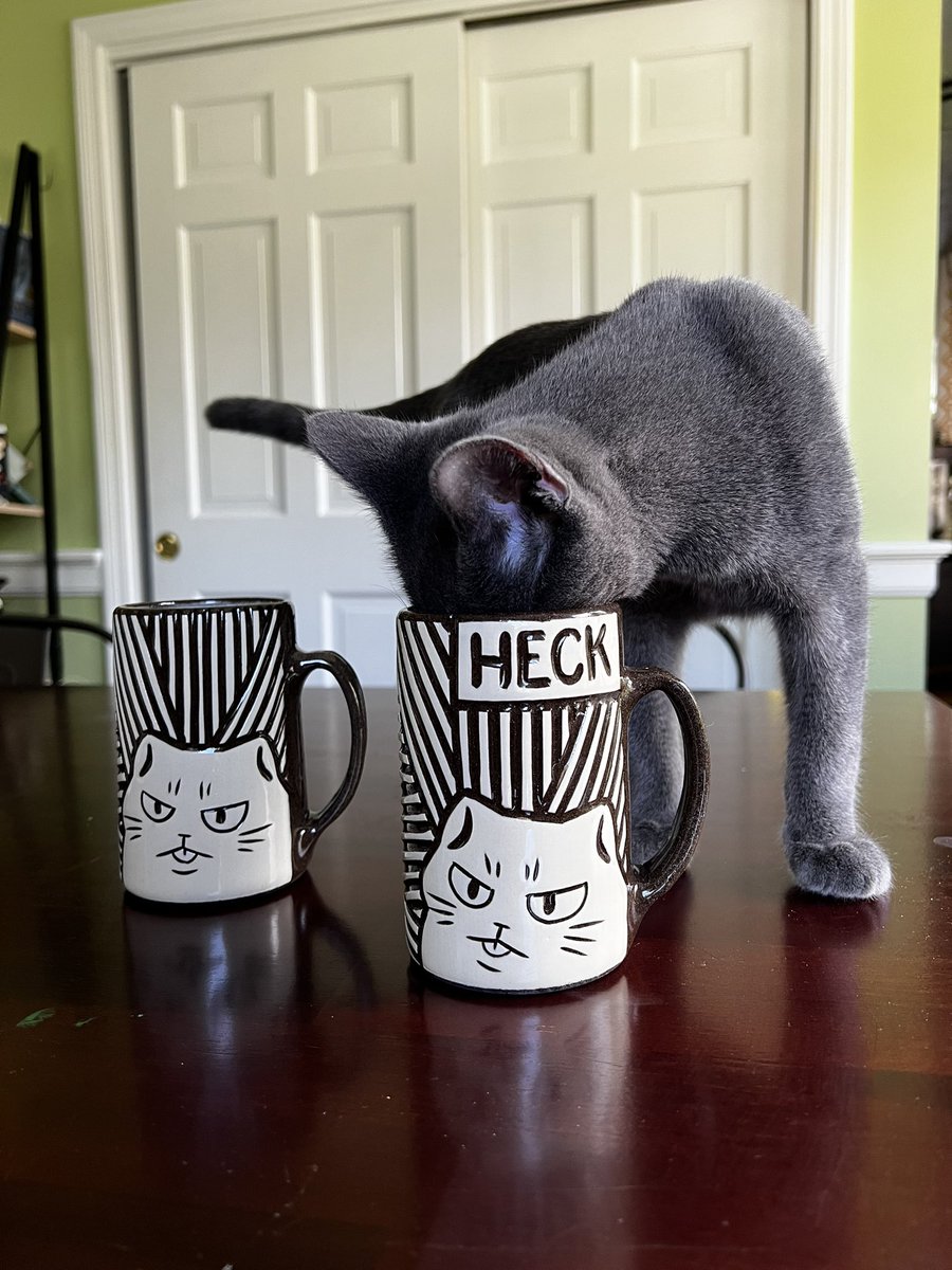 GameswithGrayce's tweet photo. What the heck! My mugs arrived! 😍 https://t.co/m1CLOWk0UM