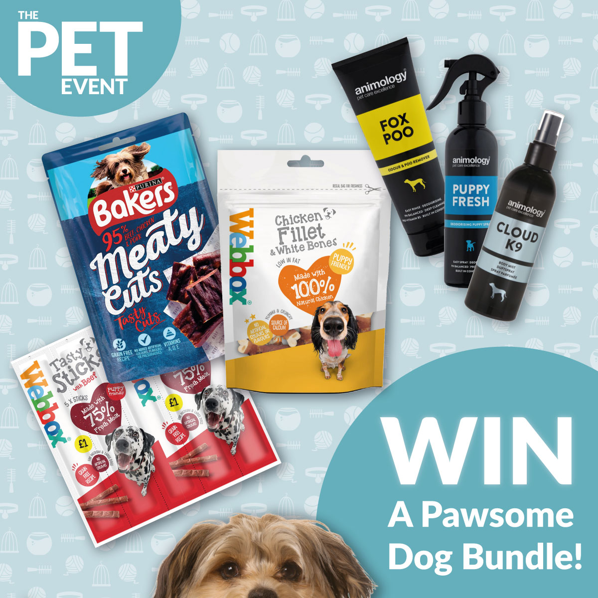 TheRangeUK's tweet photo. 🐾Our big Pet Event is now live 🐾 to celebrate we're giving you the chance to #WIN a bundle for your pawsome 🐶's ➡️ Enter now:

1. Like this
2. Retweet
3. Follow us

🛒 https://t.co/m9fb1aKRrW

Winner chosen at random. Ends 30/09/2022. Open to UK &amp; ROI residents. T&amp;Cs apply. https://t.co/1r5ZXBCTYv