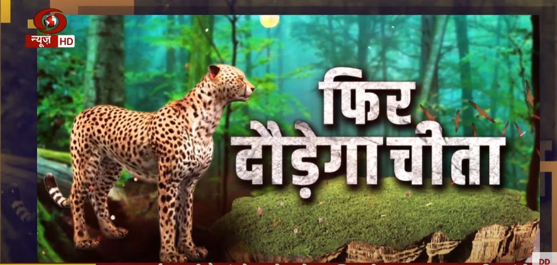 The Story Behind #Cheetah Translocation from #Namibia to India... <a href="/DDNewslive/">DD News</a>'s World Exclusive 

Watch: youtu.be/RalsvqJ1AeU

<a href="/narendramodi/">Narendra Modi</a> | <a href="/CCFCheetah/">Cheetah Conservation Fund</a> <a href="/moefcc/">MoEF&CC</a> | <a href="/byadavbjp/">Bhupender Yadav</a> | <a href="/IndiainNamibia/">India In Namibia</a> | <a href="/tapasjournalist/">Tapas Bhattachary</a>