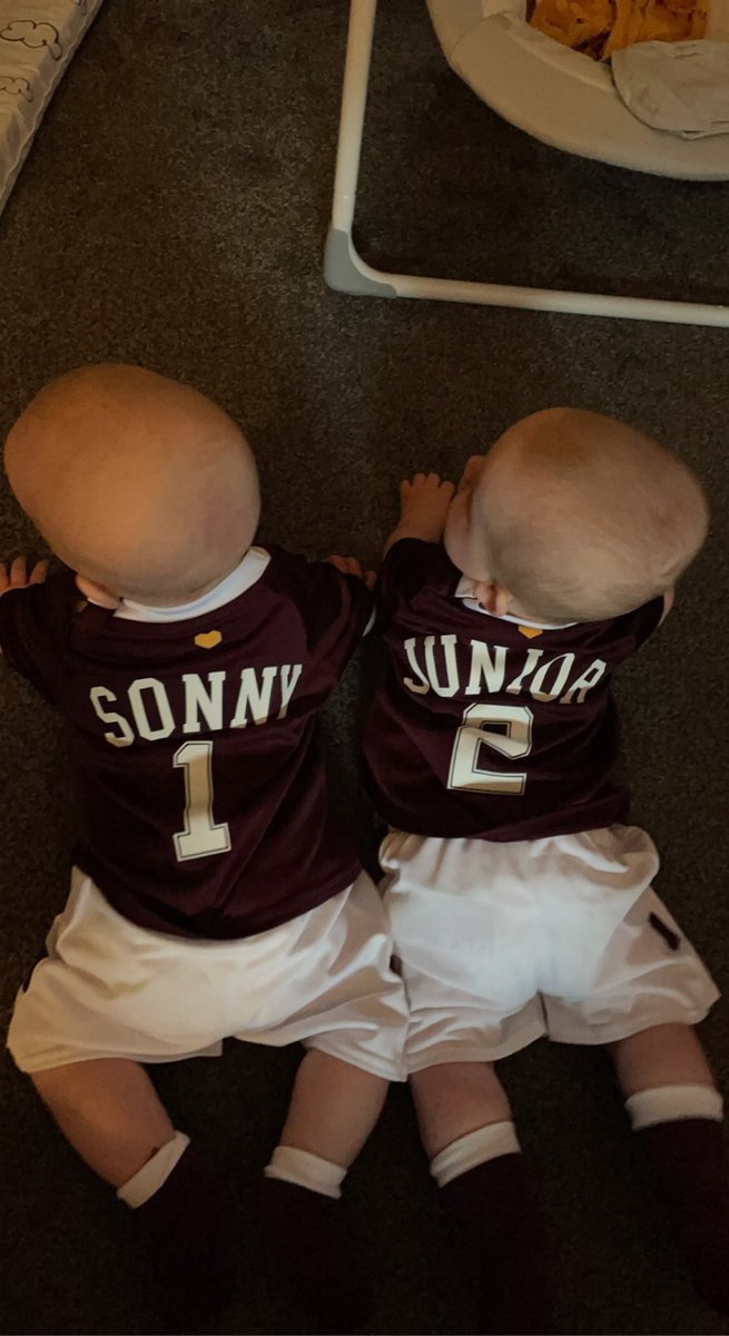 GOGS ALBERT tweet media