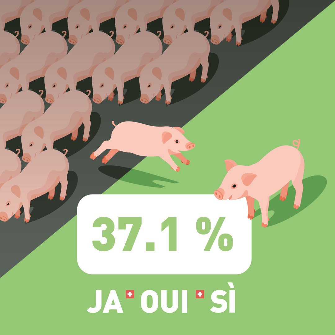 1'062'674 Stimmen! Danke an alle Menschen, die mit ihrem JA für eine zukunftsfähige und tierfreundliche Schweizer Landwirtschaft einstehen. Für uns ist klar, wir kämpfen weiter!