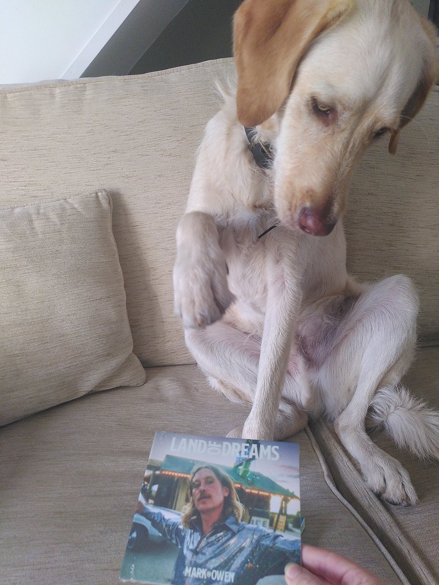 TheKedders's tweet photo. Looks like I'm not the only one who couldn't wait to crack this one open @OfficialMarkO #landofdreams #areyoulookingforbertie https://t.co/krcDJUuA5M
