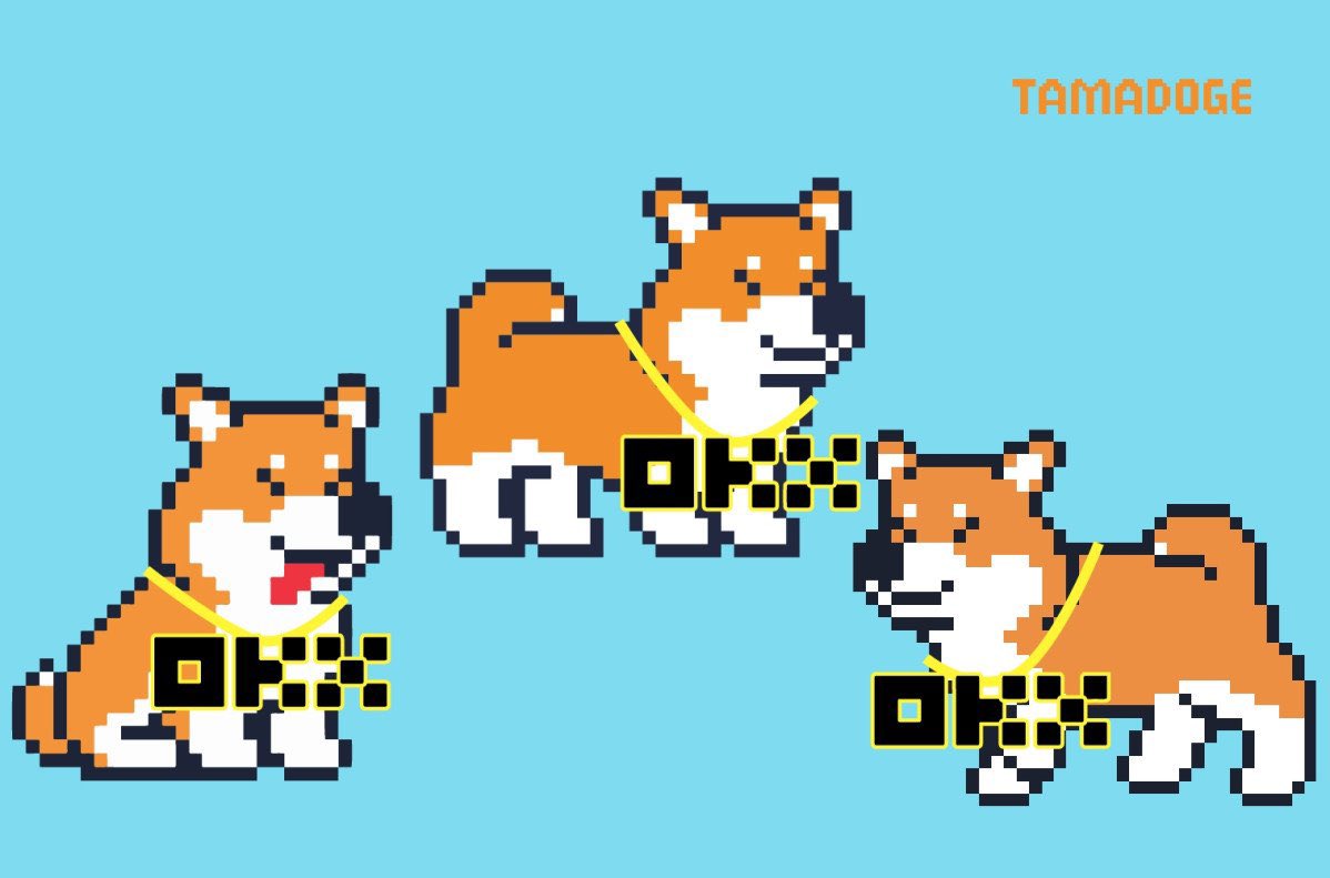 CryptoDaily__'s tweet image. Tamadoge (TAMA) will list on OKX exchange Sept 27 at 11:00 UTC and aims to combine the appeal to investors of meme coins like #SHIB and #DOGE with a P2E game, incorporating metaverse and move to earn mechanics. Is Tamadoge the best new coin listing to watch this week?