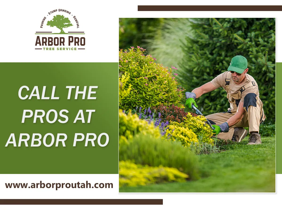 arborprout's tweet image. At Arbor Pro, we are pleased to offer shrub pruning! Our skilled professionals will carefully trim and shape your shrubs, giving them a well-maintained appearance and improving their overall health. Contact us today for a free quote!

🌐 arborproutah.com/?utm_source=tw…

#shrubpruning