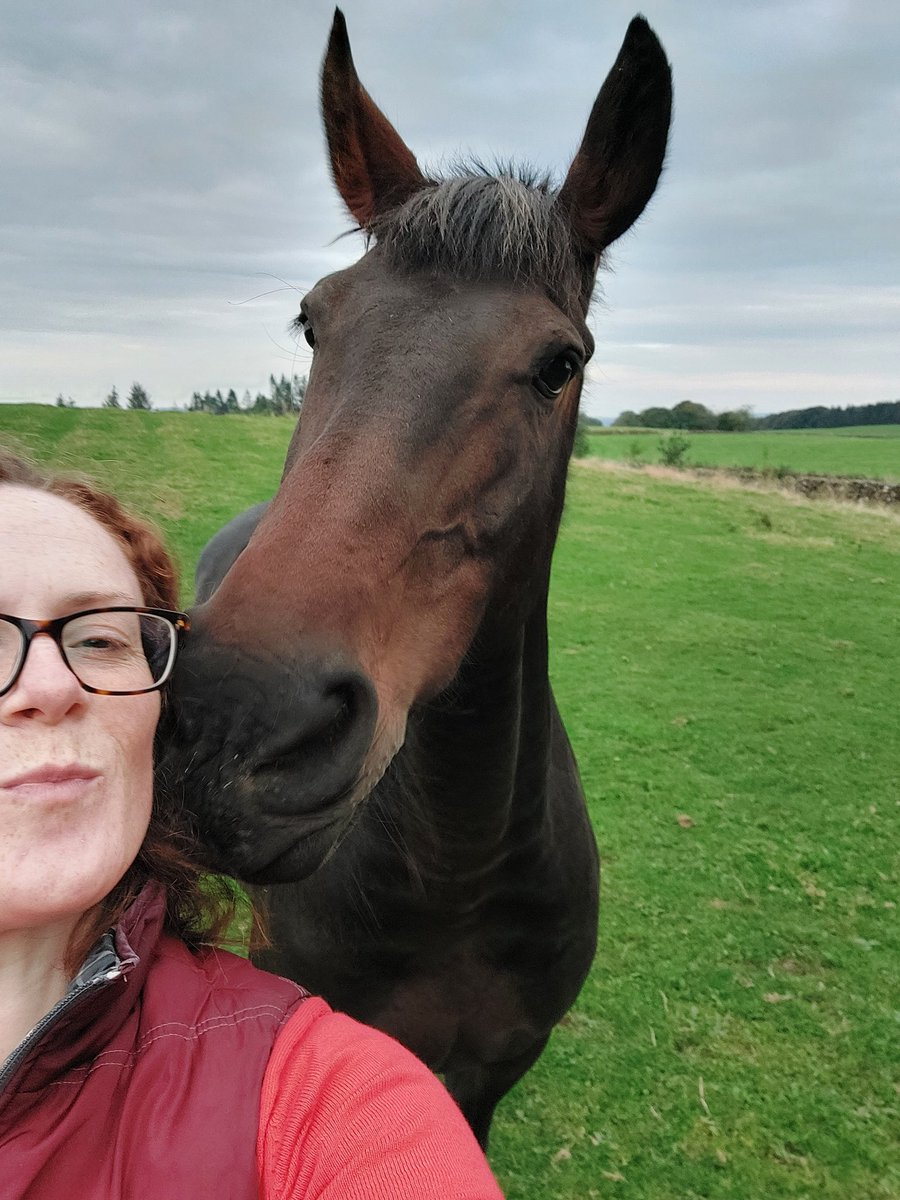 PetsSit's tweet photo. We had a fantastic house sitting adventure in #Dumfries 🏴󠁧󠁢󠁳󠁣󠁴󠁿 @Housesitting https://t.co/UejcMRirwq