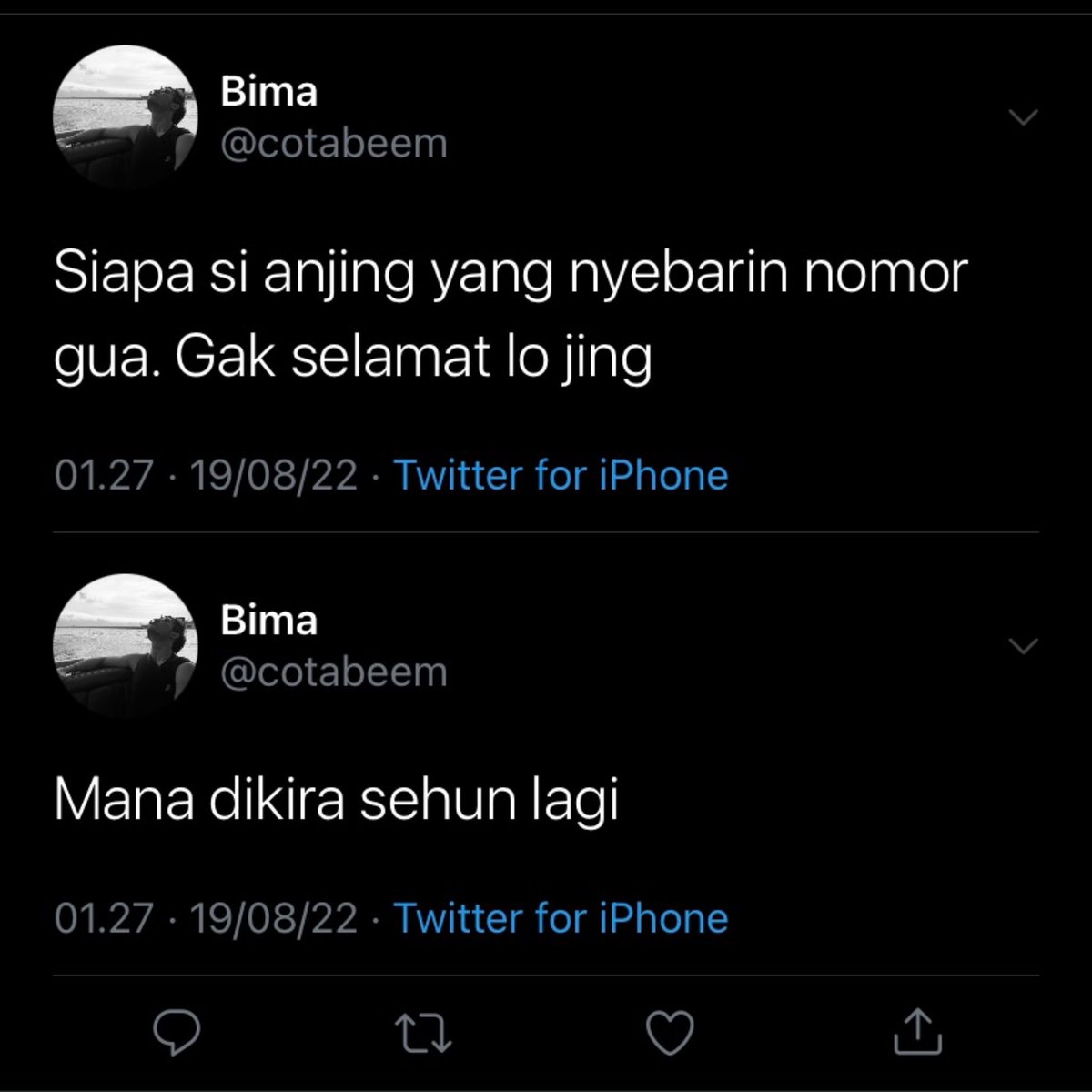 ariel tweet media