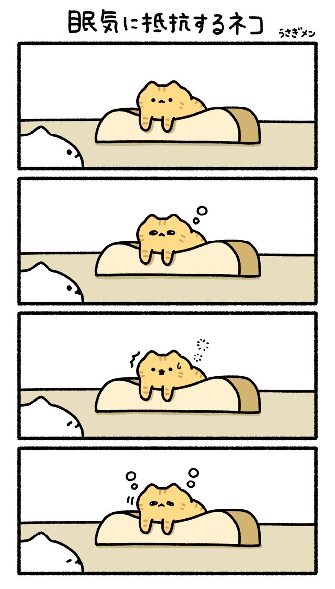 眠気に抵抗するネコ🐈 