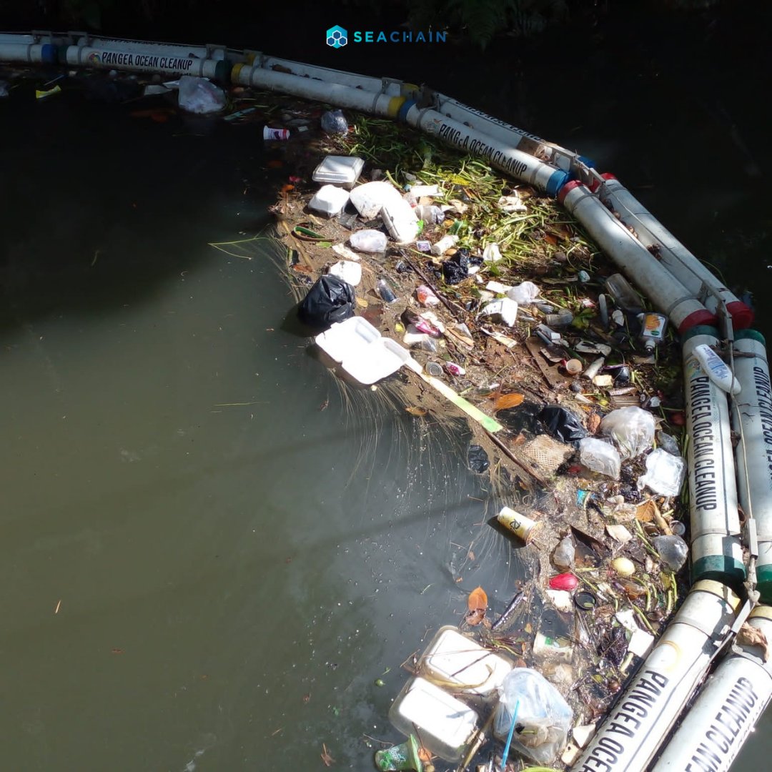 SeaChain is saving the marine environment by reducing the amount of trash that reaches the ocean. Our barriers protect the rivers and oceans by stopping trash from passing through, preventing it from polluting our waters, saving many ecosystems!