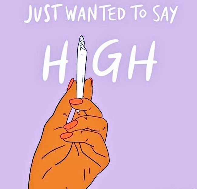 MistyLove420's tweet photo. High😶‍🌫️ Good morning 💚

#goodmorning #wakeandbake #STONER #high #keeponerolled #WeedLovers #CannabisCommunity #Mmemberville https://t.co/bJYyaDridD
