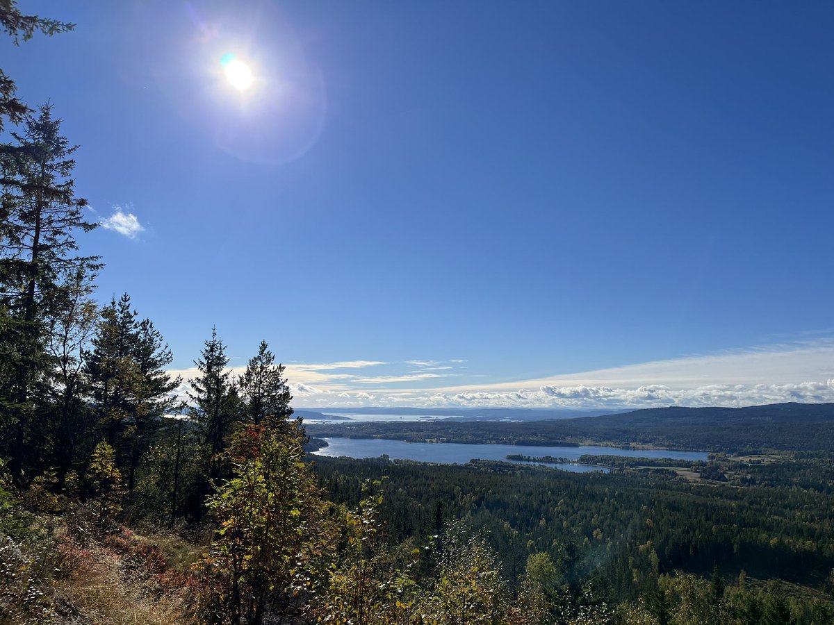 Beautiful #Oslo. #Autumn #barlindåsen