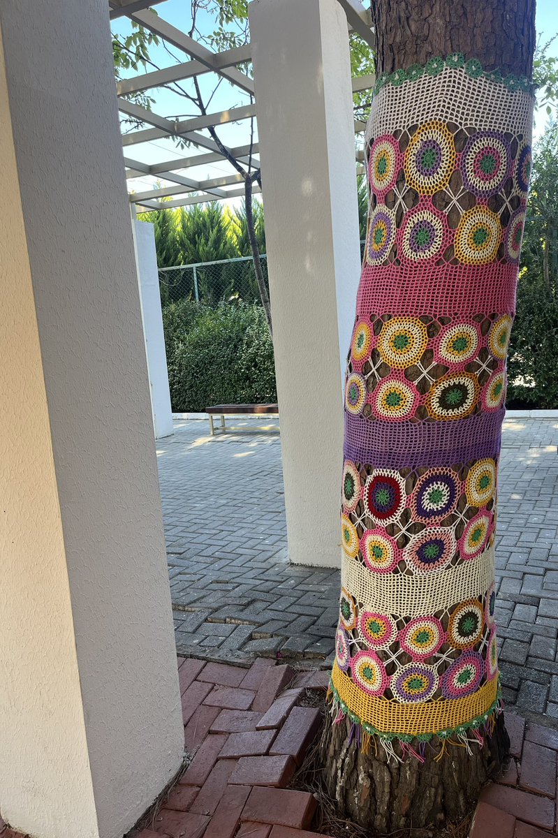 cazsmallshaw's tweet photo. @iantyrrell No change for the poorly tree 🥲 and  it’s full on crochet for this select few #whatsgoinon https://t.co/y98hnuW5Qu