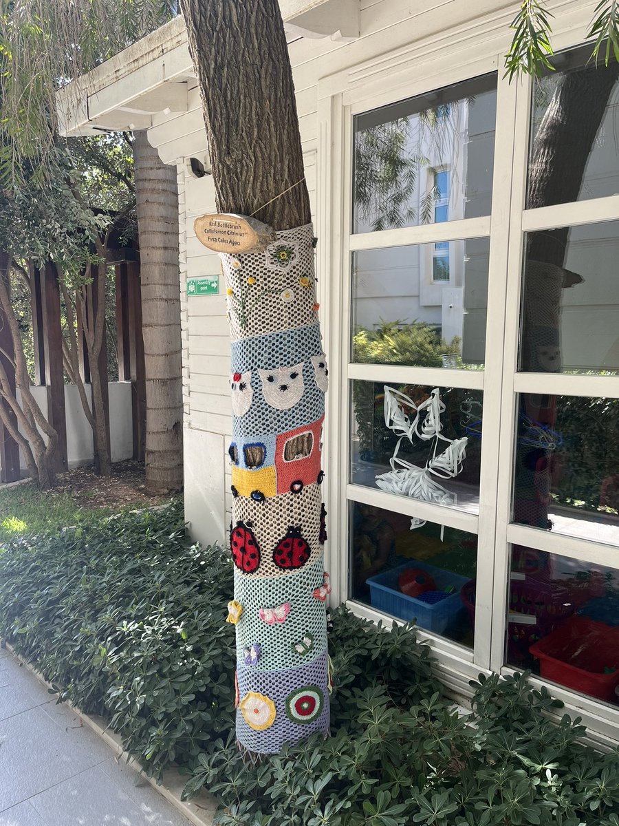 cazsmallshaw's tweet photo. @iantyrrell No change for the poorly tree 🥲 and  it’s full on crochet for this select few #whatsgoinon https://t.co/y98hnuW5Qu