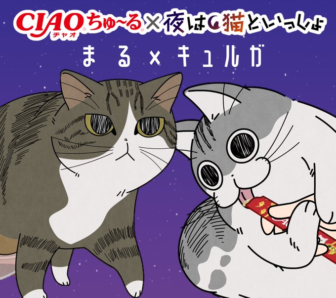 Tvアニメ 夜は猫といっしょ 公式サイト
