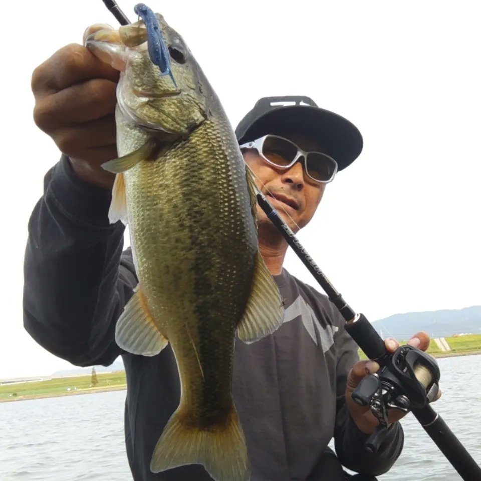 Stallion4829's tweet photo. 今朝も30分だけ近所の母なる大河筑後川へ✋
#筑後川
#バスフィッシング
#bassfishing
#pazdesign
#マルチポーチ
#zpi
#alcancergc
#zelos
#zelosmcハンドル
#evergreeninternational
#combatstickheracles
#noike
#donkyboo
#noikeマーケティング https://t.co/zYTPXefkLF