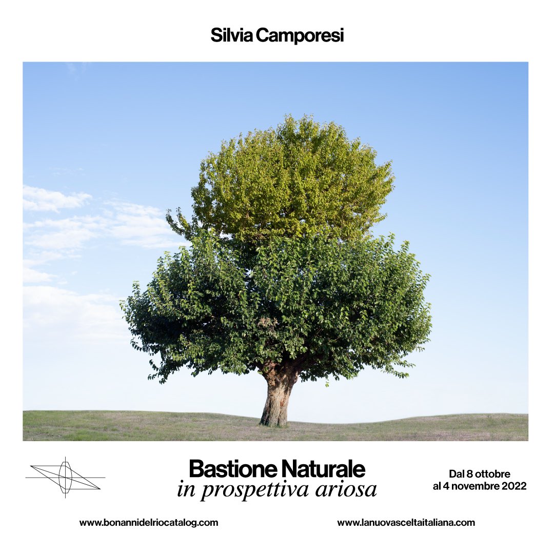 “Certo le circostanze non sono favorevoli, e quando mai?”

L’8 Ottobre il vernissage di BDC70: Silvia Camporesi - Bastione Naturale in Prospettiva Ariosa