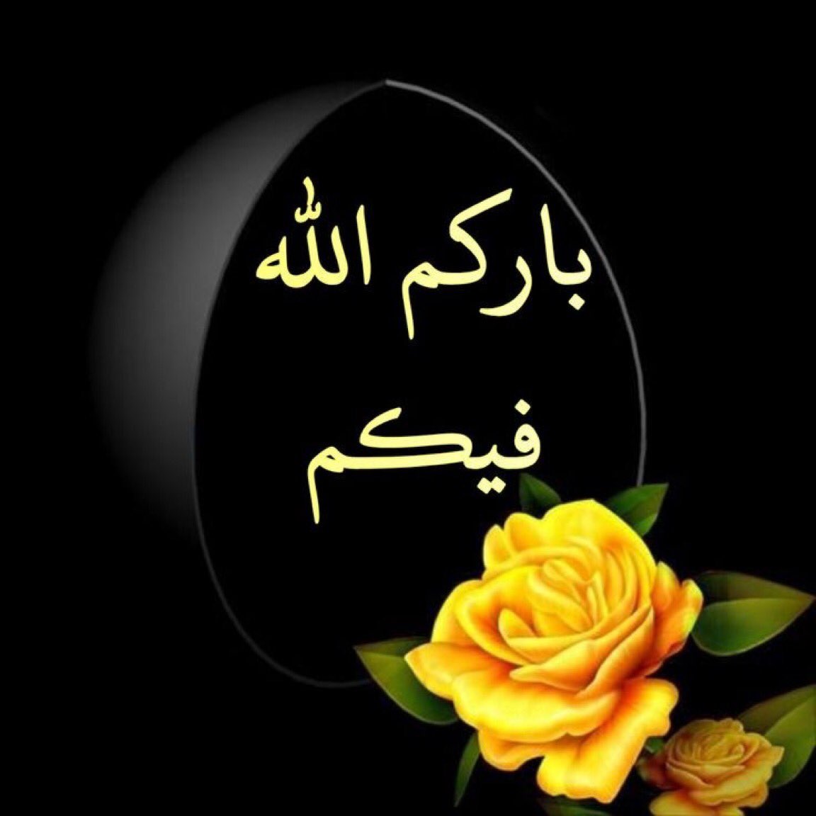 <a href="/m_saad66/">Dr.Mahmoud</a> <a href="/al_njom_groups/">@al_njom_groups</a> <a href="/Mah232343081/">Mah</a> <a href="/ENGMAHM75795631/">Mahmoud</a> <a href="/Mahmoud82635801/">ENG:Mahmoud</a> <a href="/Mahmoud67804055/">mah68</a> <a href="/dlydly79487585/">{المهندس :أحمد}</a> @Monukh4786 <a href="/Saleh_talleb/">S. T. س ل ا /م ا ت.</a> @mashael_alanzi7 <a href="/ojjo/">ojjo</a> @Tr_1611 <a href="/B_2jjj/">Bejad 💙🇦🇹</a> <a href="/aladine05/">🅰️LADINE</a> @__i_1975 @m_b_s_99 <a href="/1_mido1/">ميدو</a> <a href="/8_v_v/">𝑵𝒆𝒔𝒎𝒂 ツ</a> مساء الشكر والامتنان والورد الجميل
#قروبات_نجوم_الدعم_والاضافات