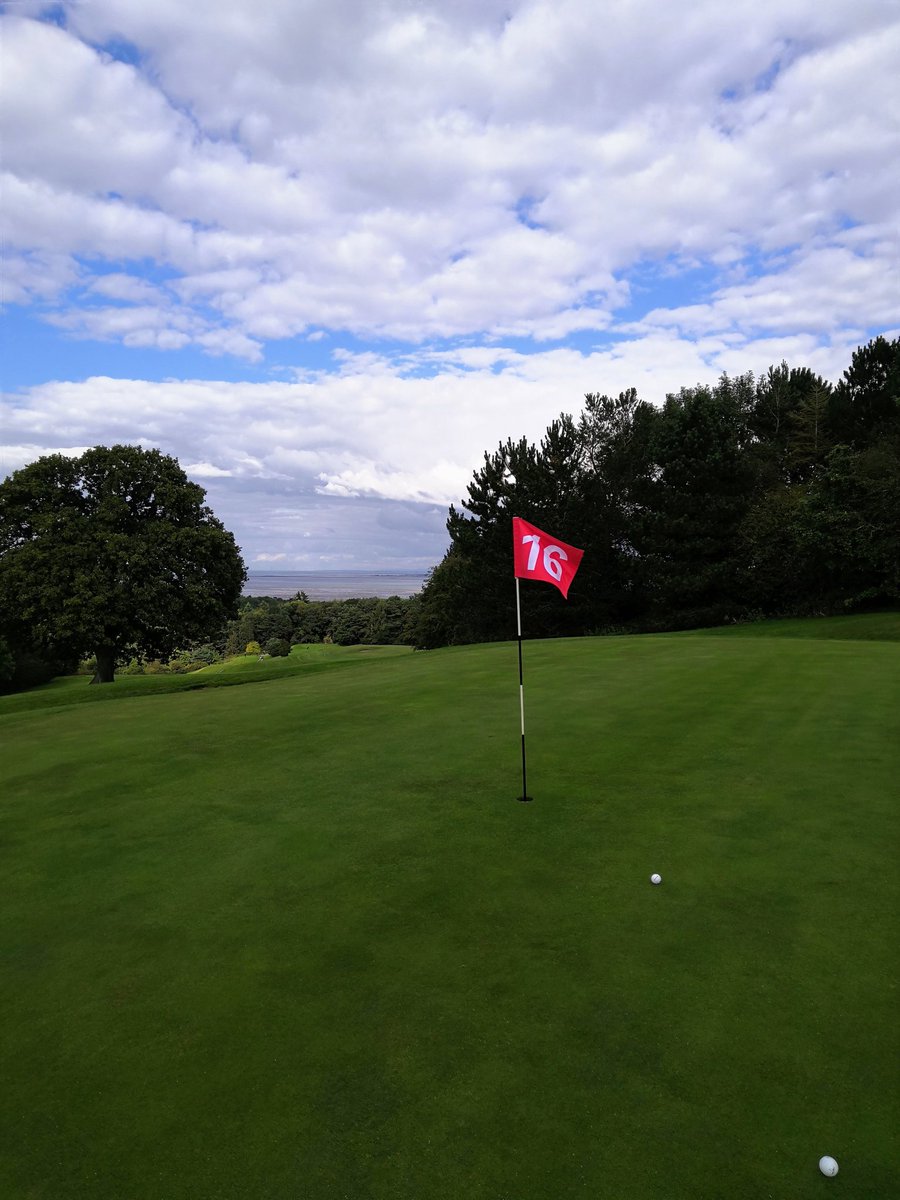 @bycgolf tweet media