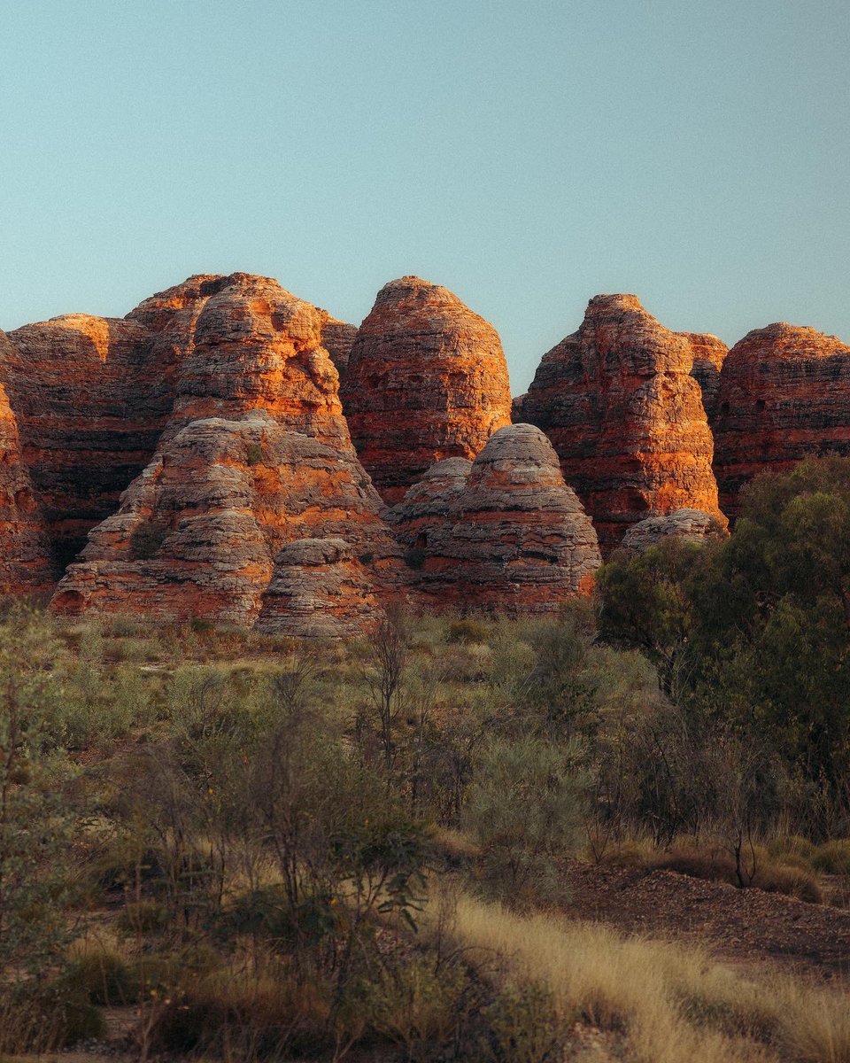 JedinasWorld tweet media