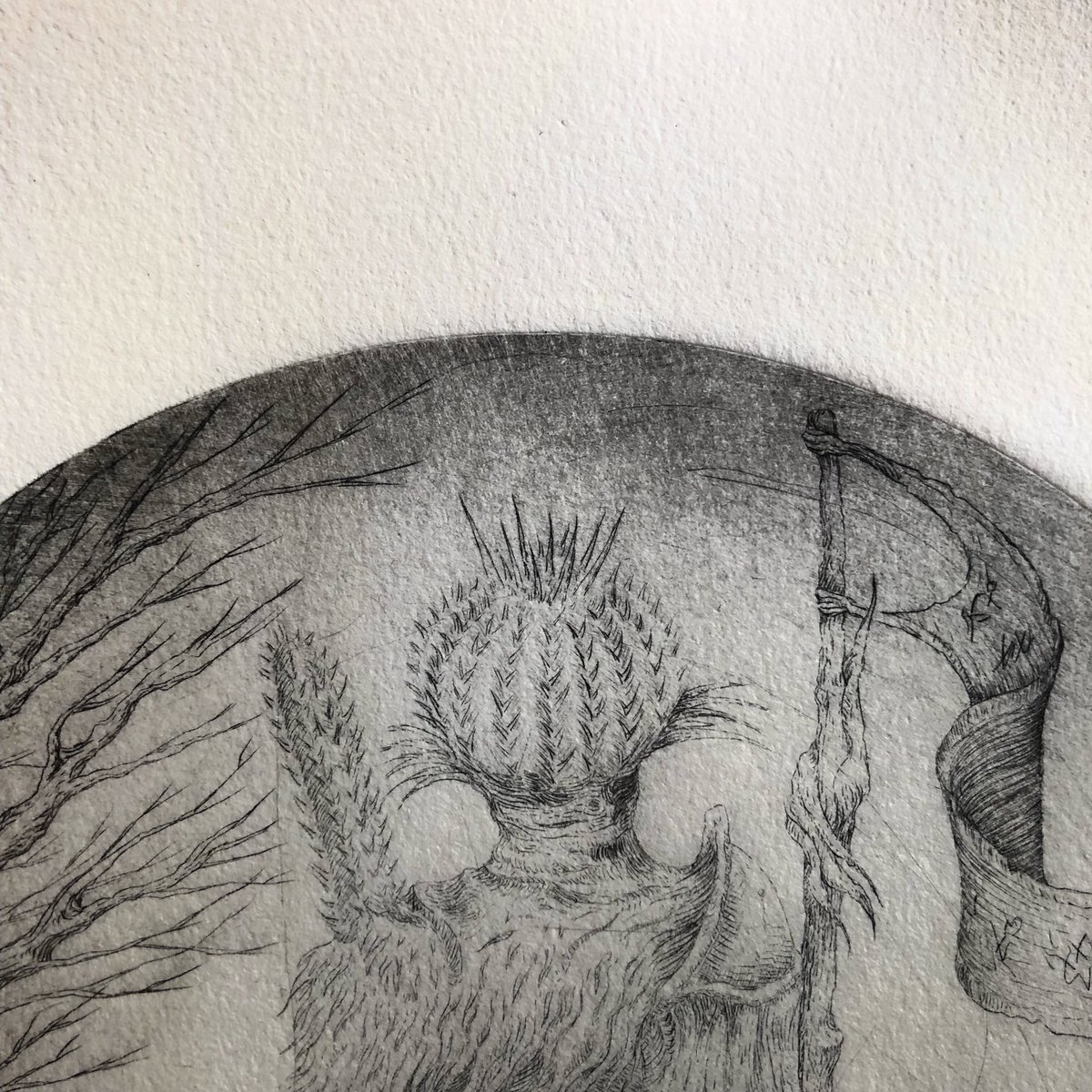 aurohorroroso's tweet photo. MAMMILLARIA grabado en punta seca para la carpeta colectiva sobre cactaceas “LA ESPINA DORADA” #printmaking #grabado #drypoint #puntaseca #etching #huecograbado #cactaceas #mammillaria #grabamexicano https://t.co/dGEqfZCbp7