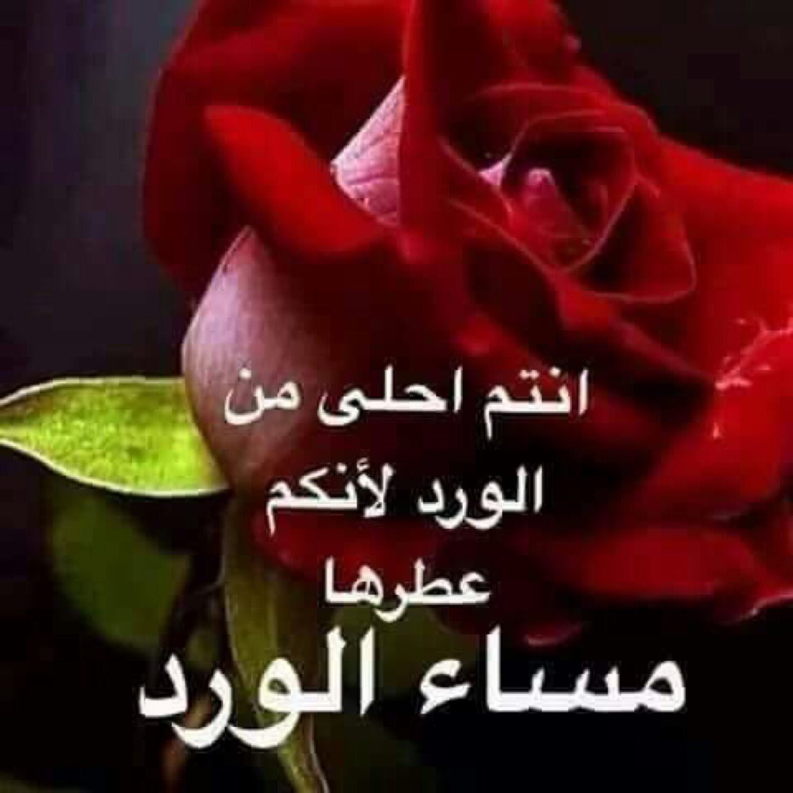 <a href="/m_saad66/">Dr.Mahmoud</a> @Monukh4786 <a href="/al_njom_groups/">@al_njom_groups</a> <a href="/_1aref_/">فهد احمد عارف 🔥🏌600</a> <a href="/MBlkheur/">منصور بلخير</a> <a href="/far9e1/">ELLIPAL HELP CENTER</a> @AlrosaSantander <a href="/Saleh_talleb/">S. T. س ل ا /م ا ت.</a> <a href="/yasraliw/">ياسر علي</a> <a href="/Nevertitivip/">Ojjo الخاص 🚫 ⛔️</a> <a href="/Hmm_833/">🇸🇦آمال🇸🇦</a> <a href="/Mahmoud67804055/">mah68</a> @So3bhy <a href="/8_v_v/">𝑵𝒆𝒔𝒎𝒂 ツ</a> @1so0_i @_Bo09 <a href="/aladine05/">🅰️LADINE</a> #قروبات_نجوم_الدعم_والاضافات