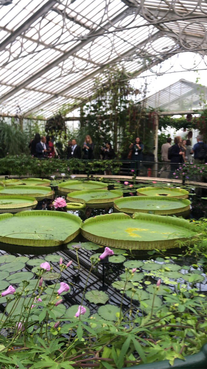 Really enjoyed the International Plant Health Conference #IPHC22 in London. Was great to have my work included and the visit to Kew Gardens was lovely! @KewScience Thank you <a href="/FeraScience/">Fera</a> for the fantastic opportunity. #PlantHealth