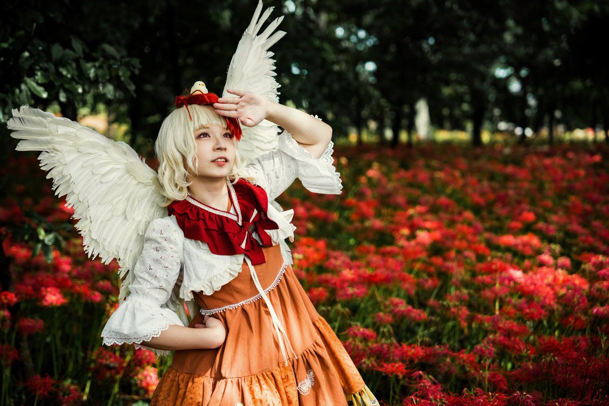 東方Project 庭渡久侘歌 コスプレ 衣装 庭渡久侘歌 | 「コスらぼっ!」コスプレイヤーのためのSNSアプリ