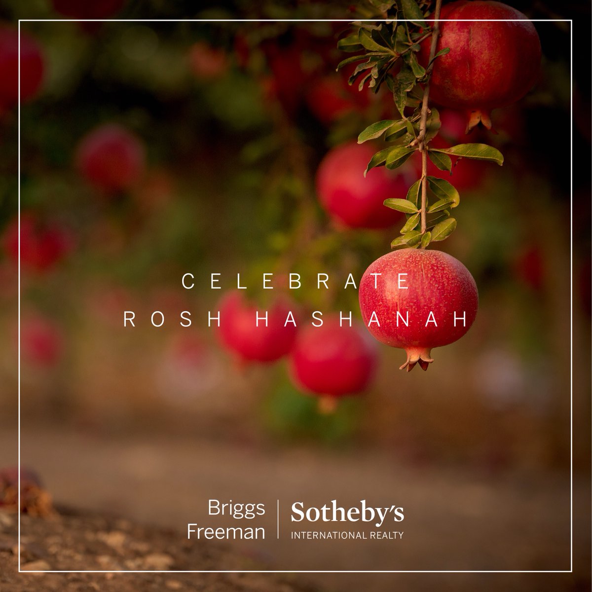 BriggsFreeman's tweet photo. May your home and heart be filled with peace, love and joy. Shanah Tovah! https://t.co/aDxWA06bBc