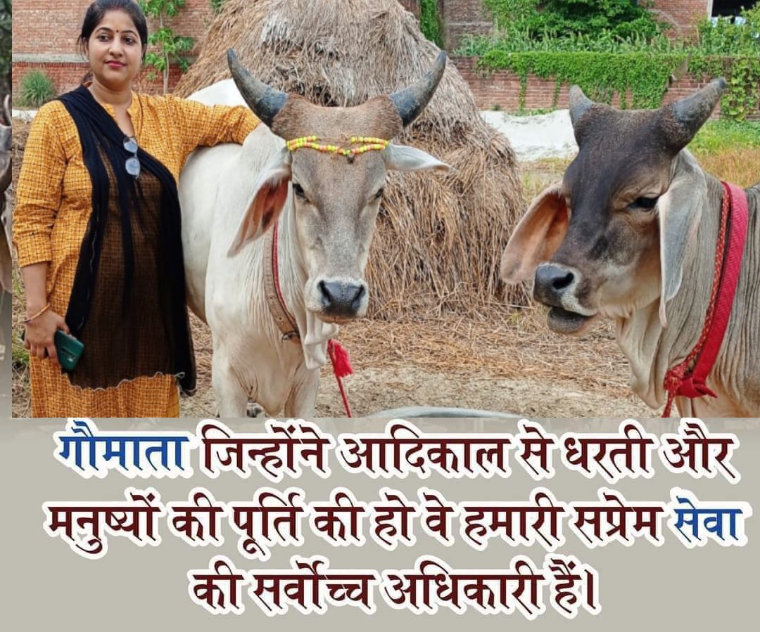 Adv Poonam Pandey tweet media