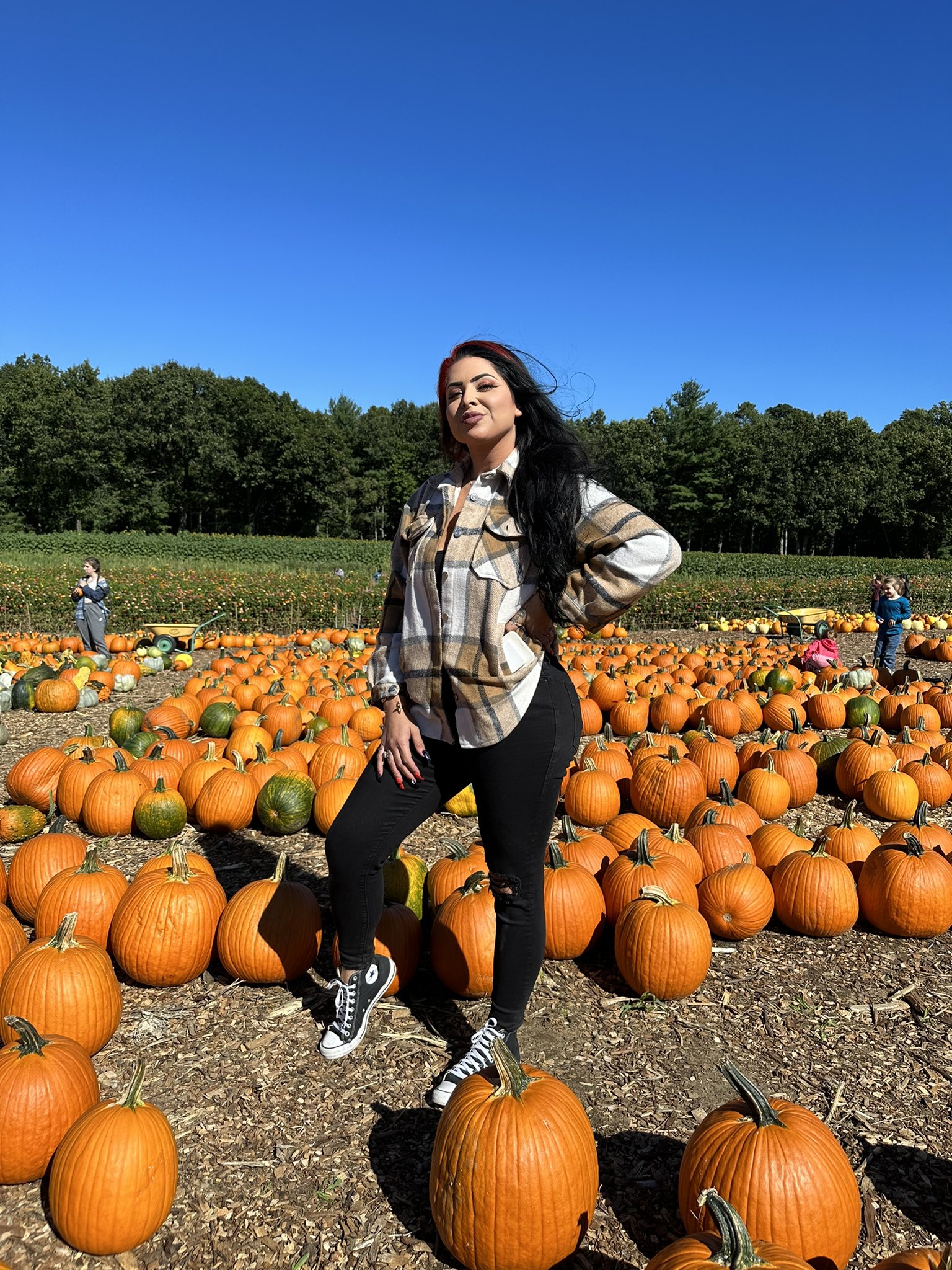 TW Pornstars - ♀Jasmine Mendez♀🔥. Twitter. Rt if you’d eat my pumpkin 😎. 1:02 PM - 25 Sep 2022