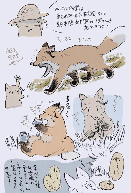 (獣化)草刈りすぐる🦊 