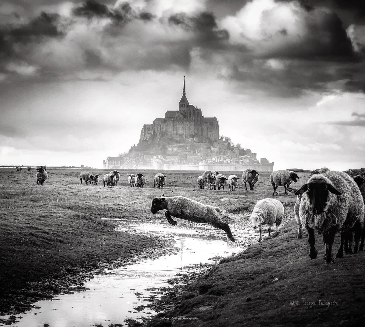 DuBerger's tweet image. J-7 avant le #trailduberger
On vous promet pas le mont Saint Michel 🤣, mais une belle journée en perspective 
Inscription sur 
➡️3wsport.com
Programme et infos course 🏃‍♂️ sur ➡️trailduberger.com
Nouveau Challenge Trail du Berger/ Sauta Roc cœur ♥️ d’Herault
😎