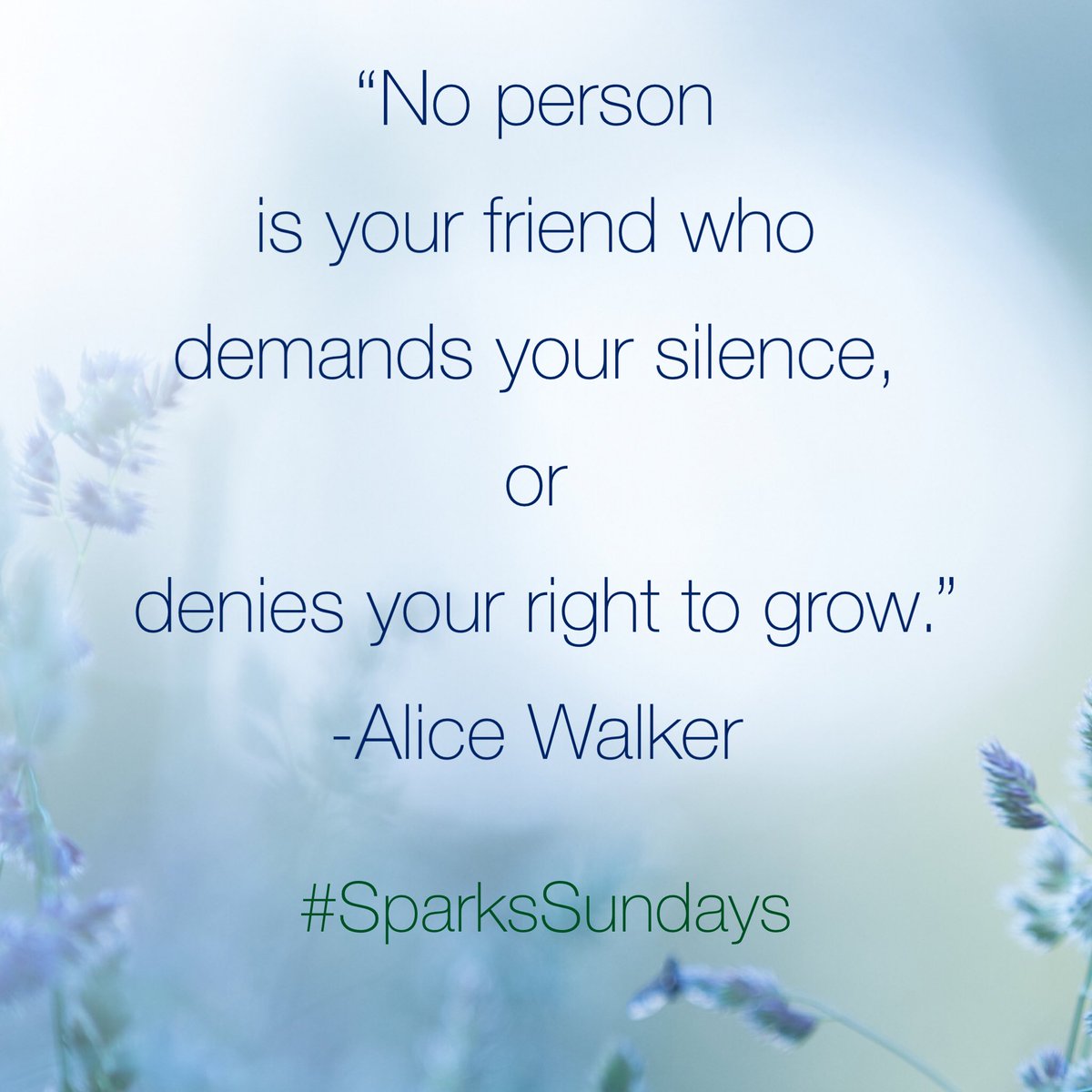 TheMusicMedium's tweet photo. #happysunday #sunday #friend #friendship #alicewalker #alicewalkerquote #alicewalkerquotes #inspirationalquote #inspirationalquotes #sparksgirl #sparkssundays #sparks #sparksgirlforever #jennifersparksmusic #jennifersparks https://t.co/Z93Hoacbkk