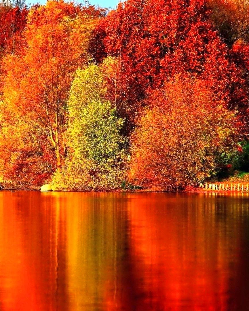 Tina Koskima 🕊️ (@lovesongs4peace) on Twitter photo 