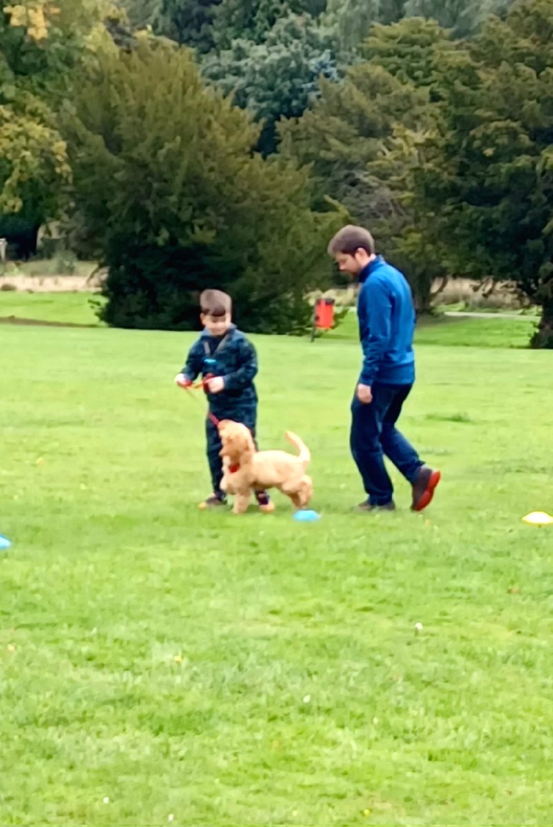 RestRising's tweet photo. I and S have been attending puppy training classes with Dougall recently. Today they graduated and 'I' won first place in the class for leading Dougall around a timed obstacle race the quickest and with most control. @MPS_P7 @MPS_Primary3 🐶🐕 https://t.co/NzTHnnfPtw