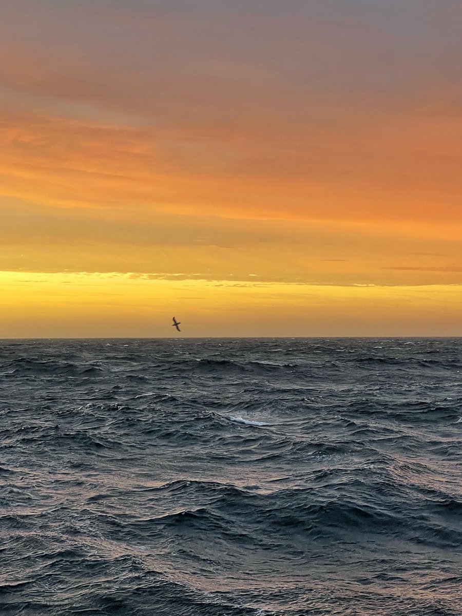 VolkerDiekamp's tweet photo. I rarely picture sunrises, most of the time it‘s the sunsets. Here we have one of those rare exceptions from this morning in the #baffinbay on #msm111. https://t.co/afcUdYY1aK