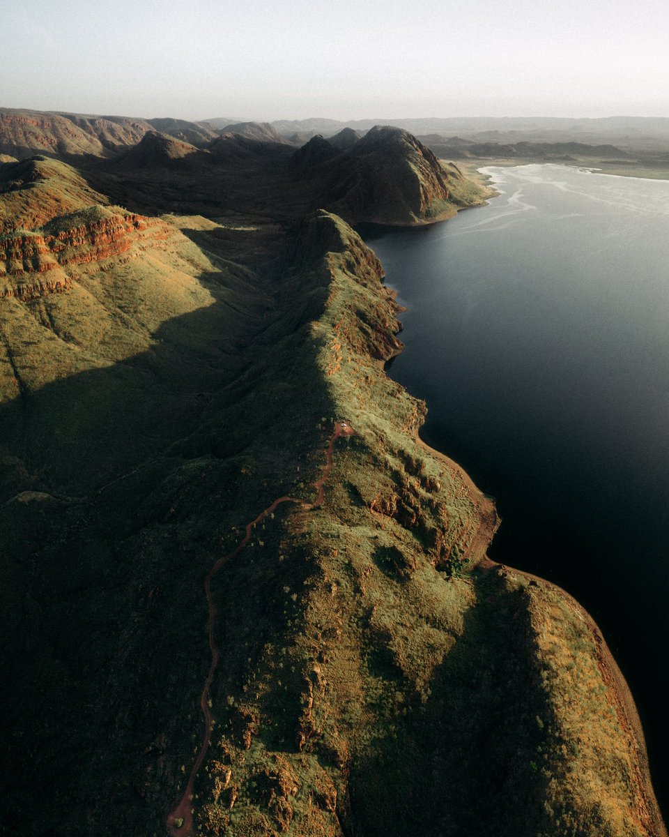 Harry Pope tweet media