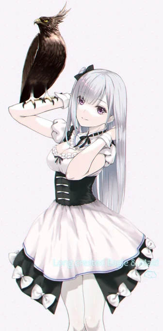 鳥と女の子どっちも描きたい 