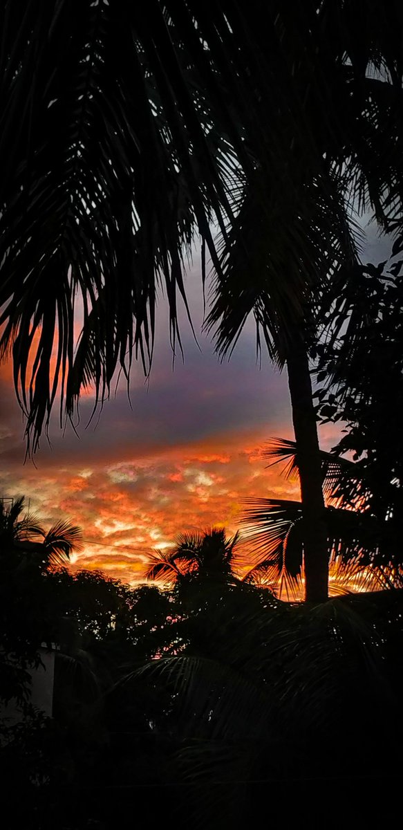Prathmesh11235's tweet photo. Silhouette
📷: OnePlus 5T
#Pune #NaturePhotography #OnePlus5T #landscapephotography https://t.co/wx2C08iM4p