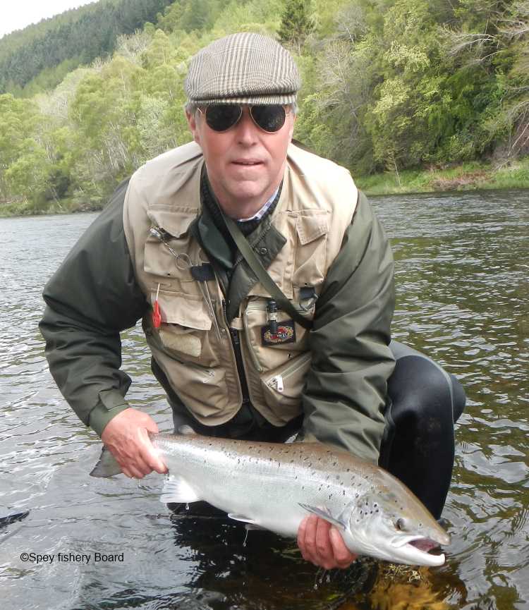 Former convenor of Scottish Parliament's rural committee makes a formal request to put salmon farming under close scrutiny. "The industry has been unable to address fish mortality rates which are increasing at an alarming rate" tinyurl.com/2bn3ed4b <a href="/ScotParl/">Scottish Parliament</a> <a href="/SP_RuralAffairs/">Rural Affairs and Islands Committee</a>