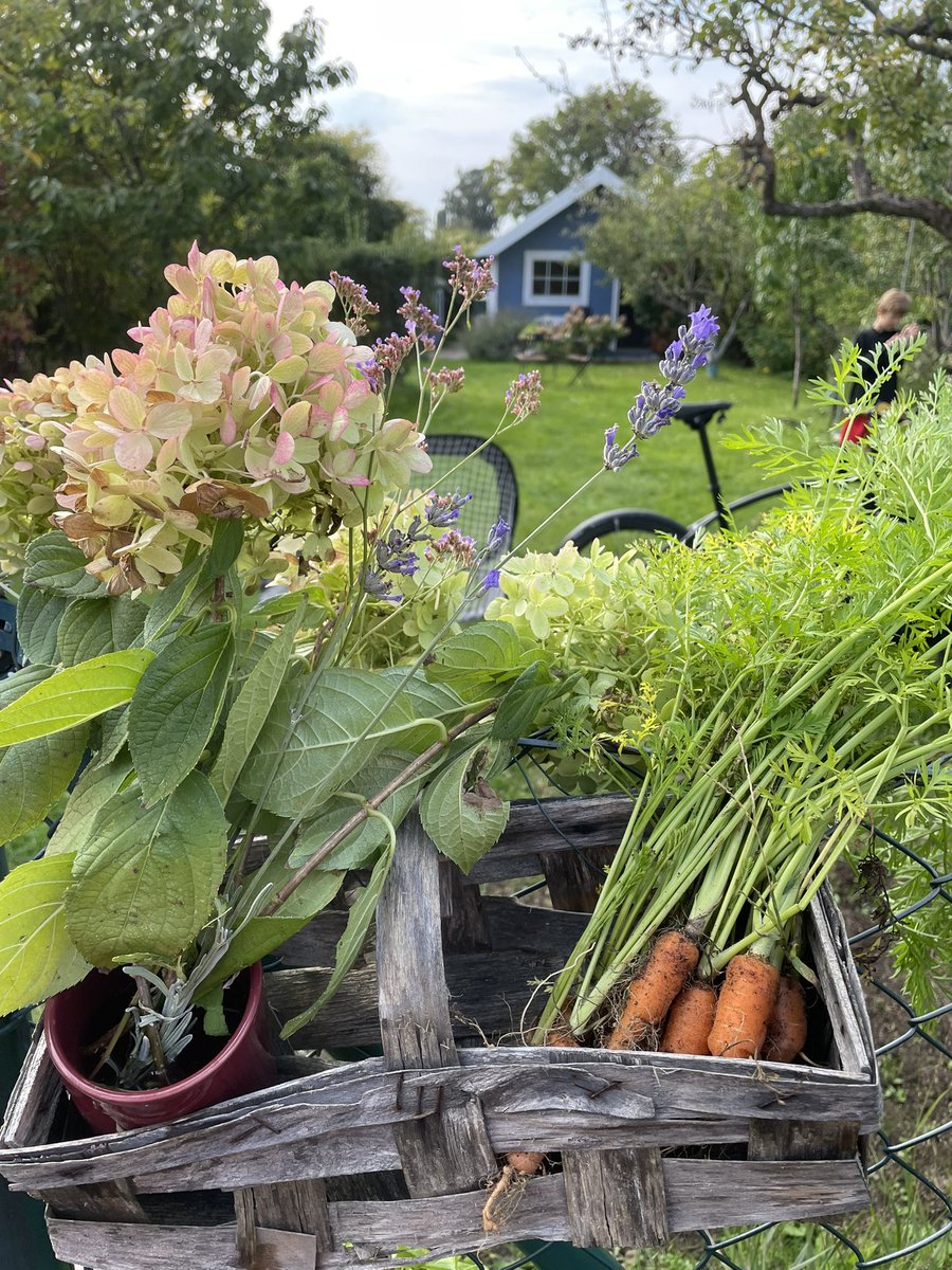 Heute im #Schrebergarten #gartenglück auch zum mitnehmen ….
