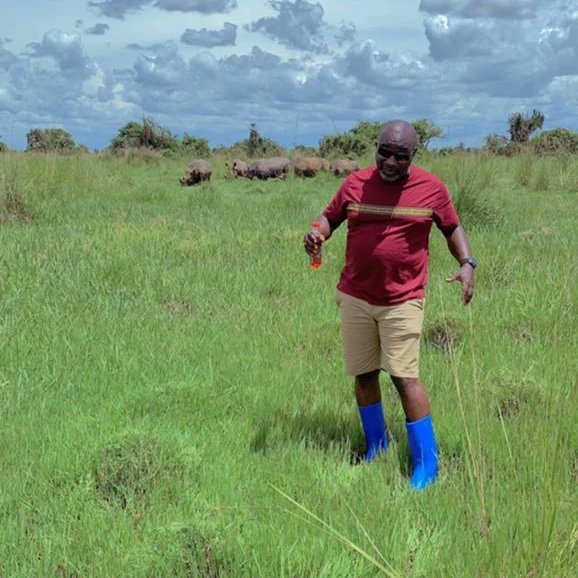 Rhinos are such nice creatures