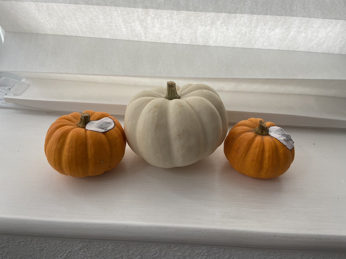 HannahQ69367027's tweet photo. I know I won’t get a tea light in them… but they were so *cute* !
#tinypumpkins #minipumkins #halloween https://t.co/Bkplm9cdOt