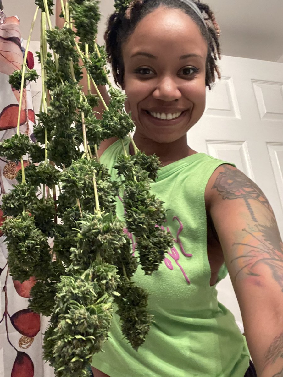 myheartmyart's tweet photo. Post trim, amnesia haze 💚 https://t.co/vWiBIicTvX