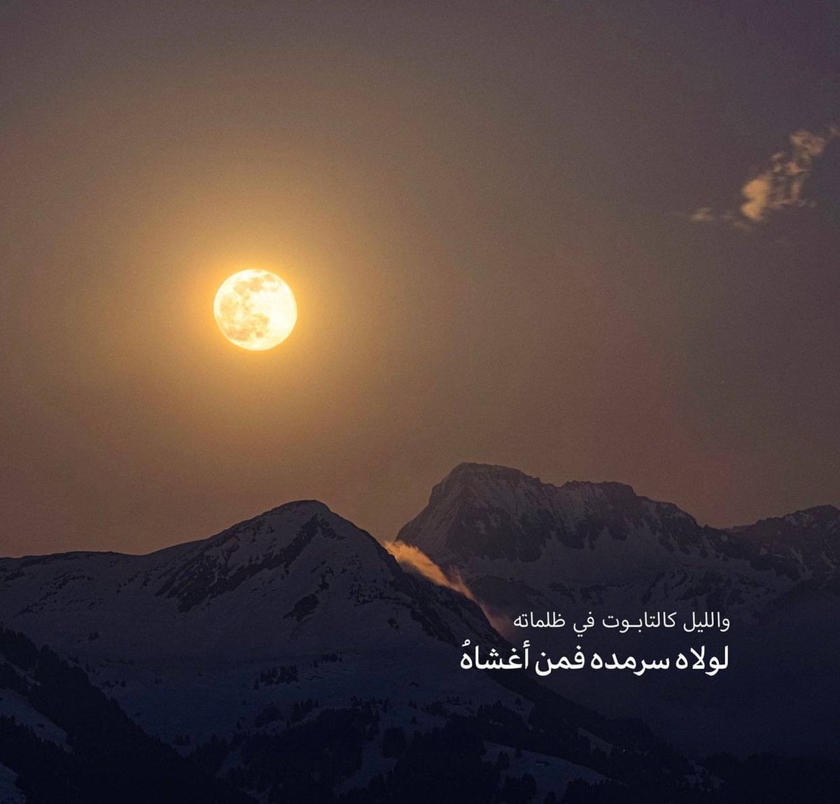 كل ما يهم التعليم tweet media