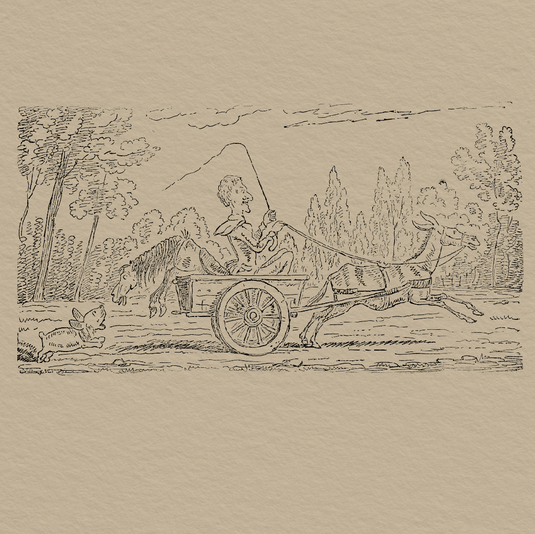 Published in 1837, "Histoire de Mr. Vieux Bois" / "The Adventures of Mr. Obadiah Oldbuck" is considered by many to be the first comic book - a 30 page document with 1-6 captioned images per page. Today we honour it and all the comics that have come since 📓 #NationalComicBookDay