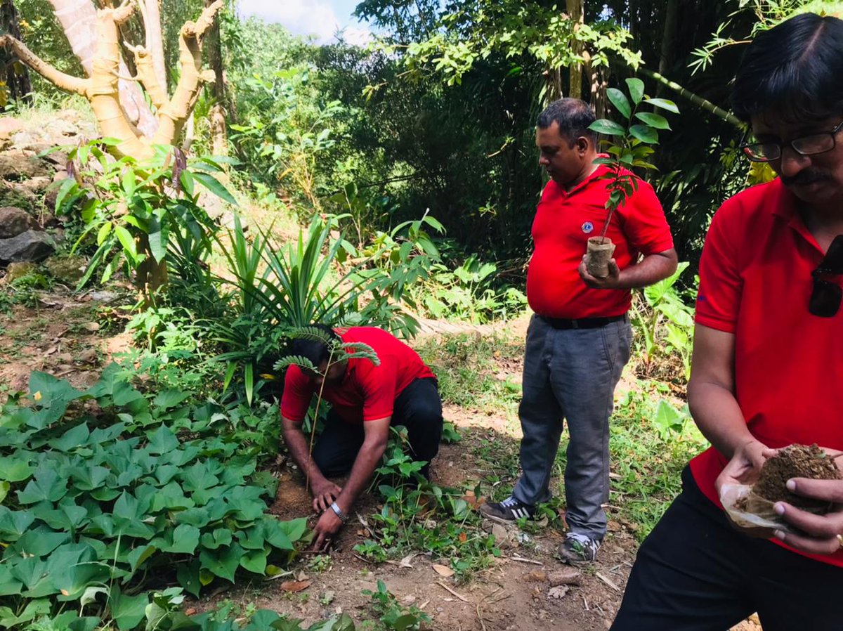 Lions306's tweet photo. Tree Planting and Awareness Program by Lions Club of Kahawatta City

#gogreen #LionsofSriLanka #greenplanet https://t.co/FmlA3JtTxC
