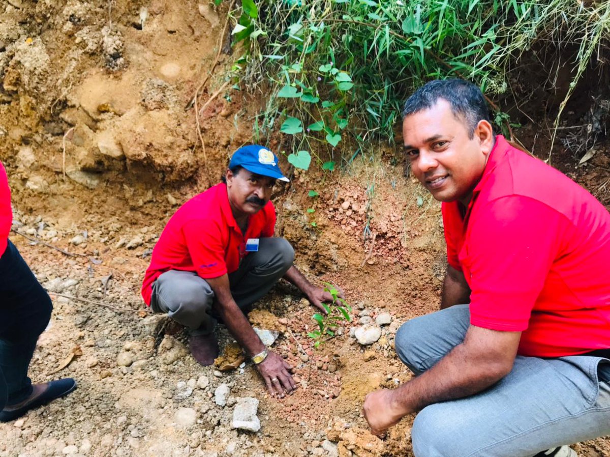 Lions306's tweet photo. Tree Planting and Awareness Program by Lions Club of Kahawatta City

#gogreen #LionsofSriLanka #greenplanet https://t.co/FmlA3JtTxC