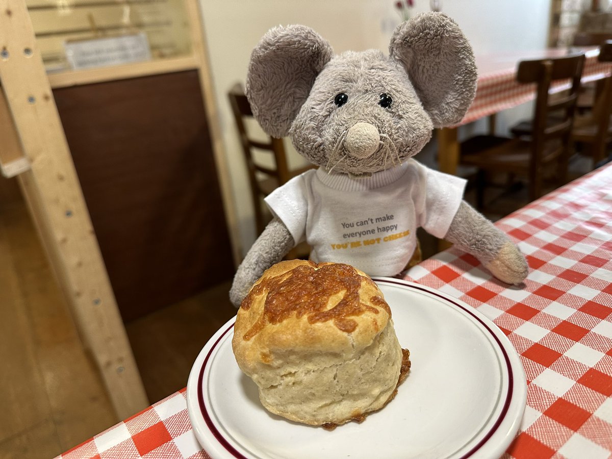 𝕎𝕙𝕚𝕤𝕜𝕖𝕣𝕤 𝕄𝕠𝕦𝕤𝕖 🧀 tweet media
