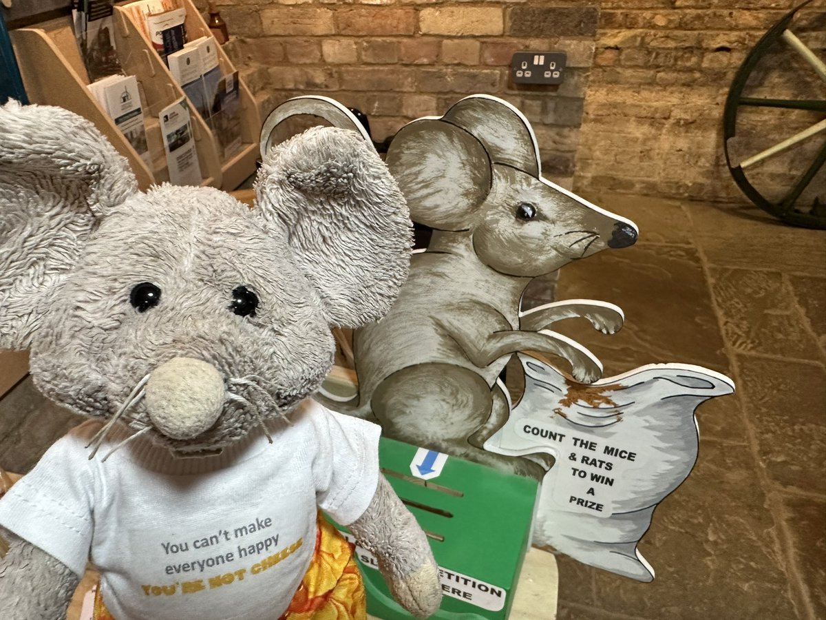 Popped in to <a href="/stotfoldmill/">Stotfold Watermill & Nature Reserve</a> for a cheese scone in Randall’s Tea Room. Highly recommended!! 
#stotfoldmill #stotfold #cheese #scone #happymouse