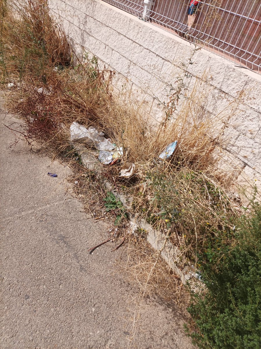 Imbiscual's tweet photo. @gobjccm @PODEMOS En pioz ( Guadalajara) en c/ Extremadura c/Rioja C/Murcia,Paseo del bosque , no recibimos limpieza de calles , ni tenemos aceras, el ayuntamiento no hace nada por darnos solución , por unos servicios básicos ya, vivimos personas  @GuadalajaraGob #pioz https://t.co/AuJLs901XD